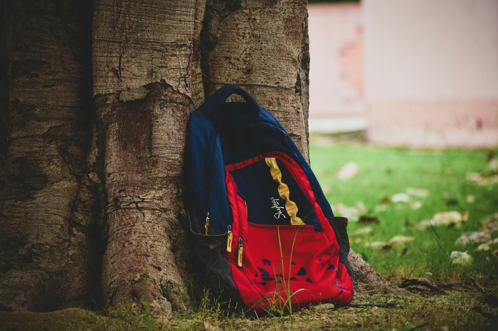 Photo by Gursharndeep Singh on Pexels